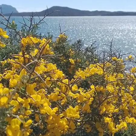 Borgo Santo Stefano Oschiri